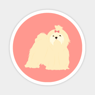 Maltese Dog - Pink Magnet